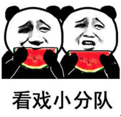 被迫吃瓜表情包