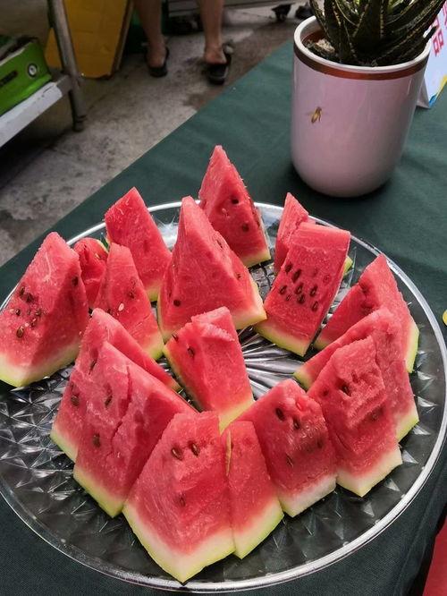 吃瓜比赛大营,一场舌尖上的狂欢盛宴