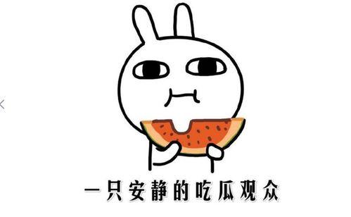 描述吃瓜的心情,品味生活，畅享吃瓜时光