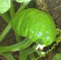 林七吃瓜系统,揭秘娱乐圈幕后真相，带你领略明星生活百态