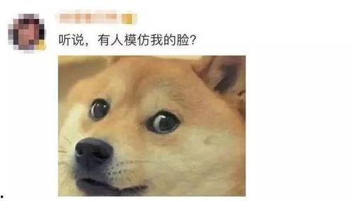 狗头萝萝吃瓜,揭秘娱乐圈那些不为人知的幕后故事